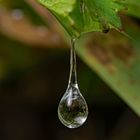 nach dem Regen