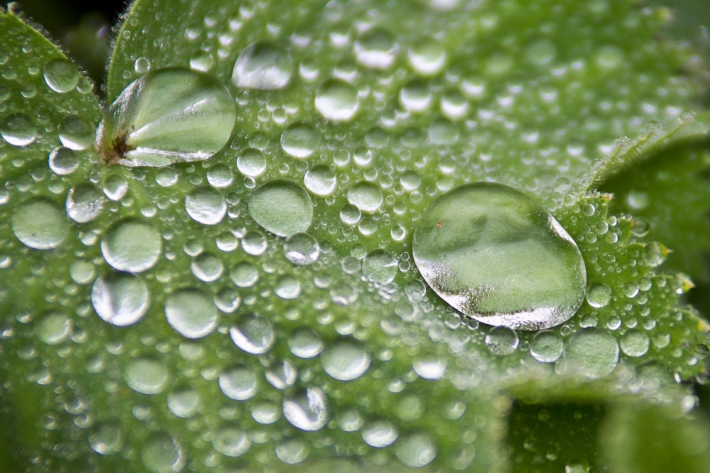 Nach dem Regen