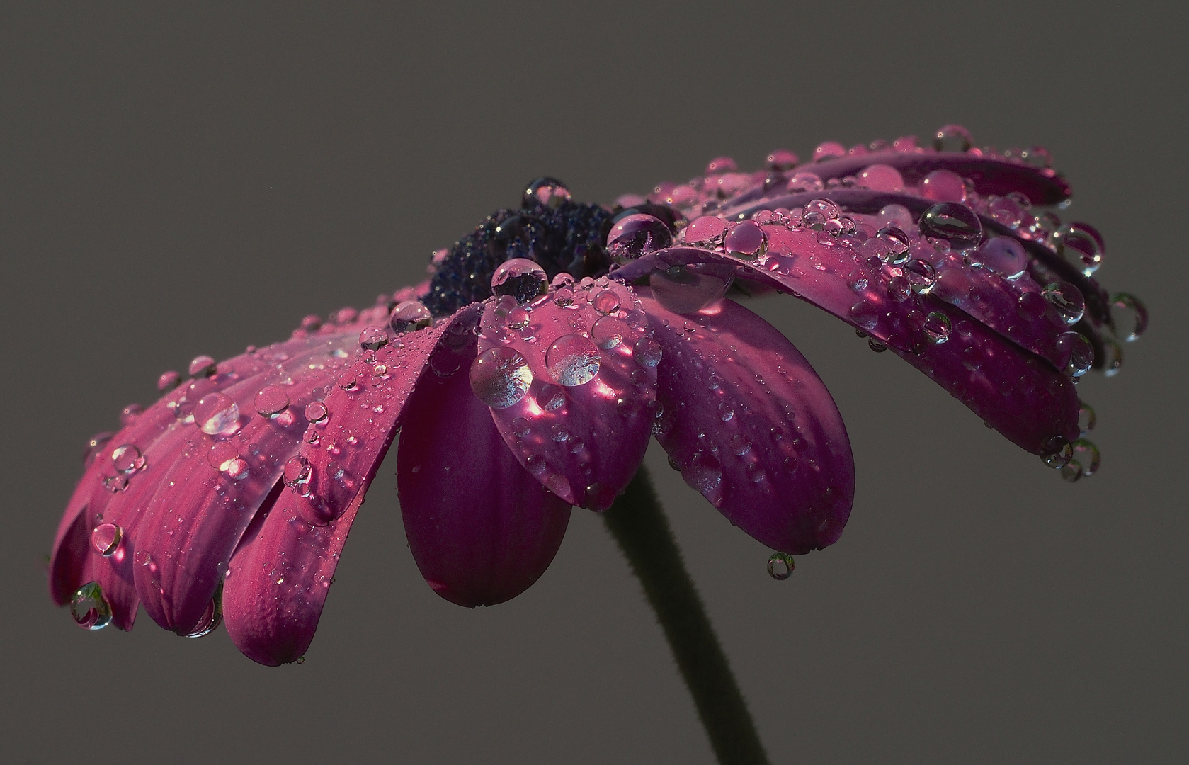 Nach dem Regen