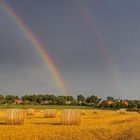 Nach dem Regen...