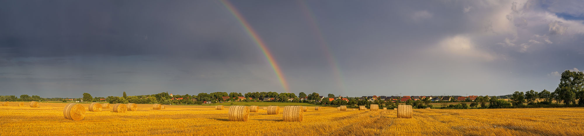 Nach dem Regen...