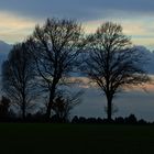 Nach-dem-Regen