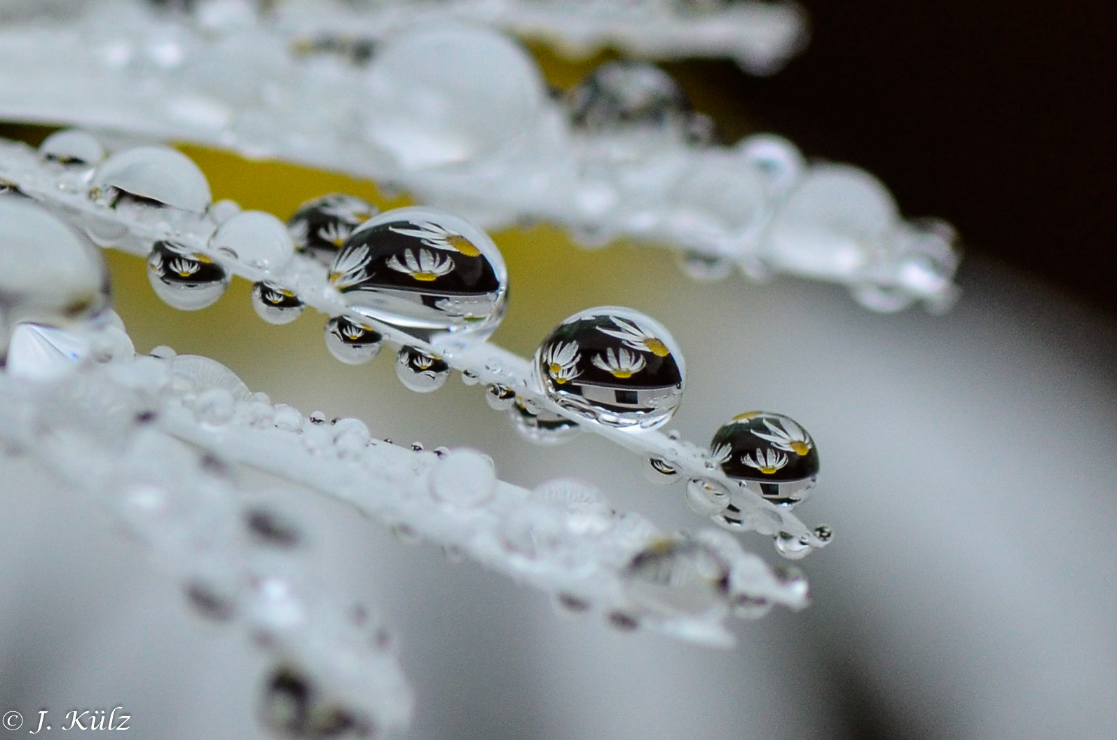 Nach dem Regen