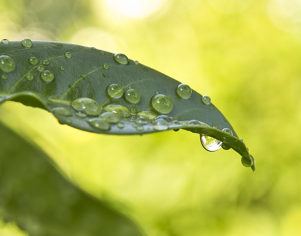 Nach dem Regen