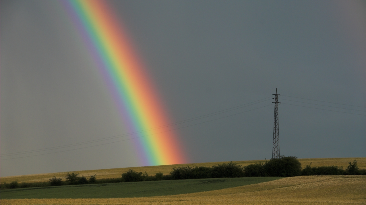 Nach dem Regen...