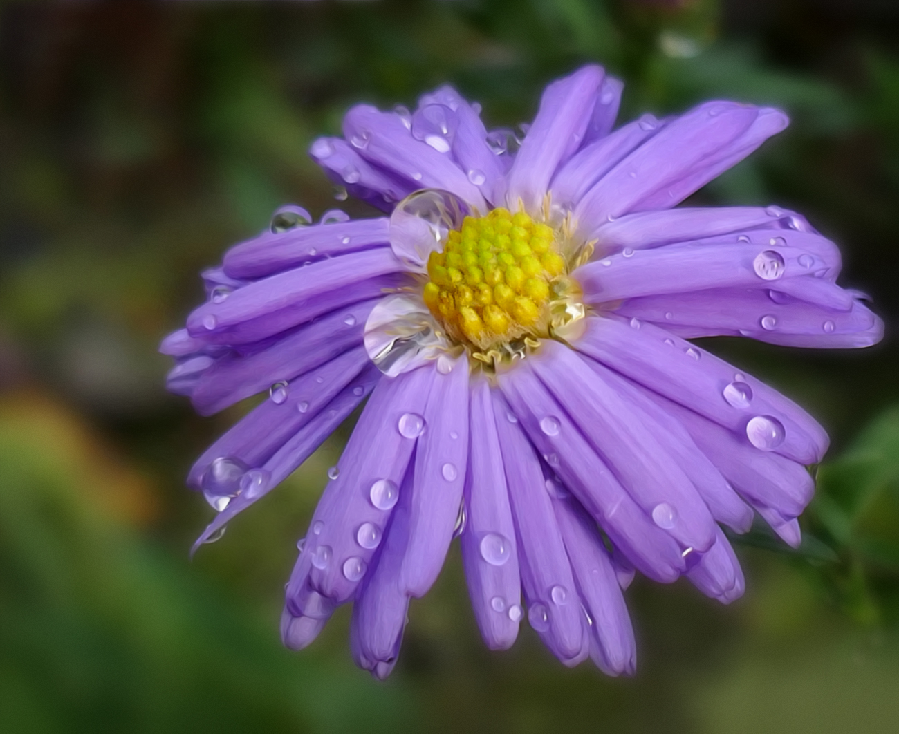 Nach dem Regen