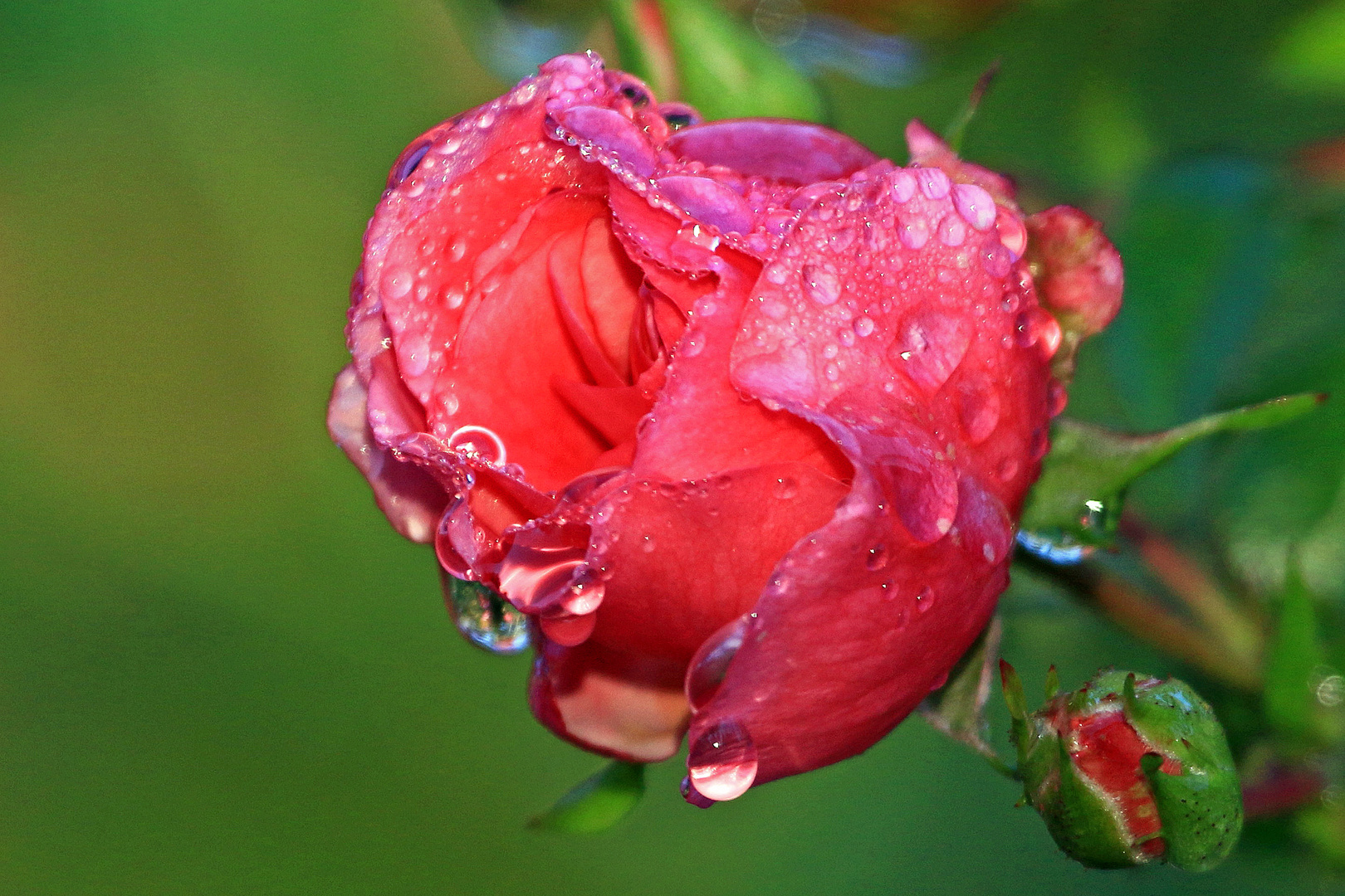 Nach dem Regen