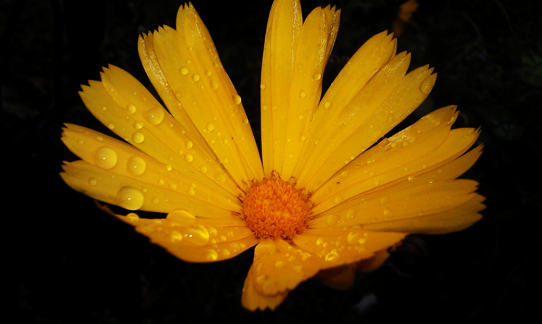 Nach dem Regen