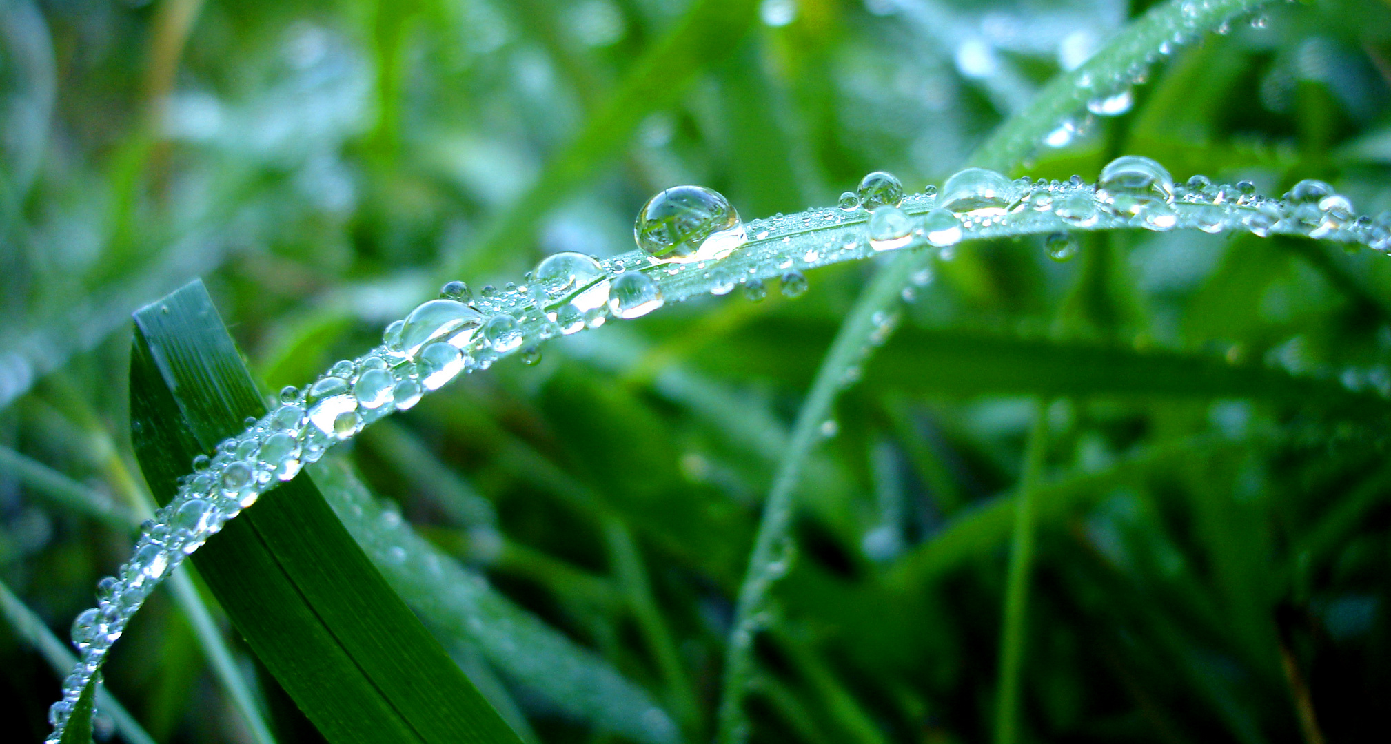 Nach dem Regen