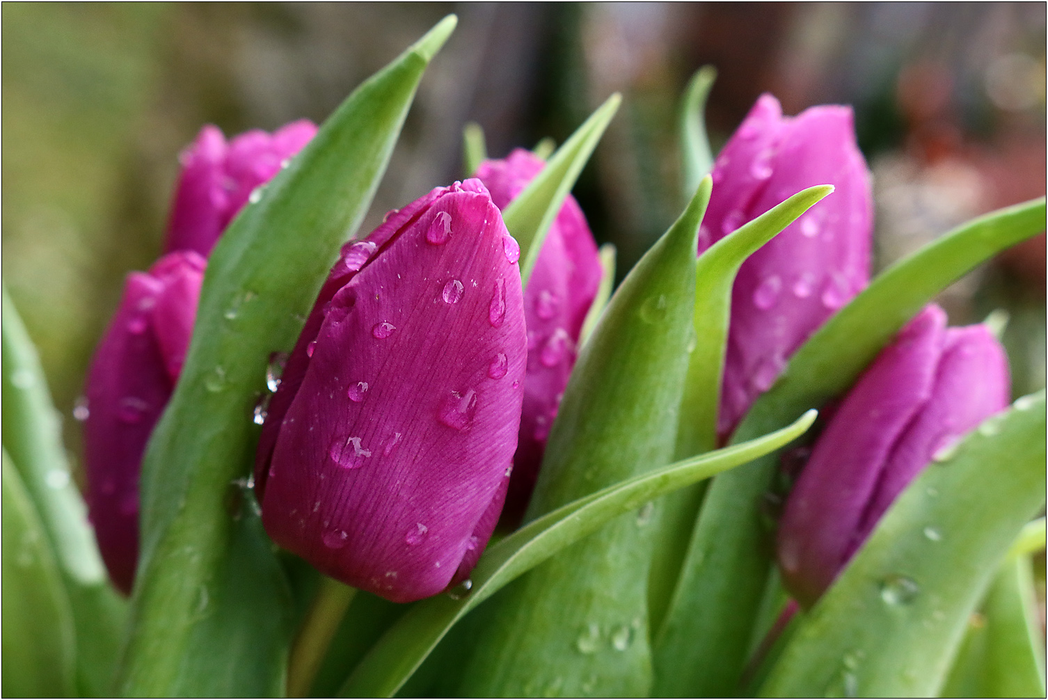 Nach dem Regen...