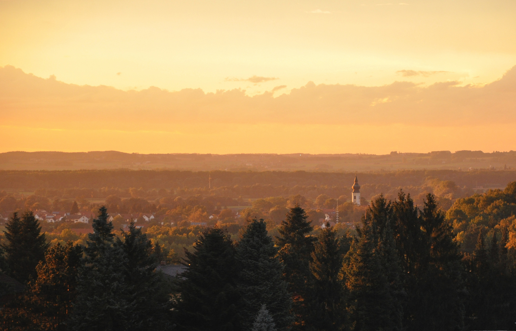 Nach dem Regen (3)