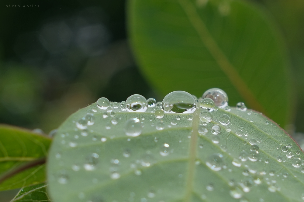 Nach dem Regen #3