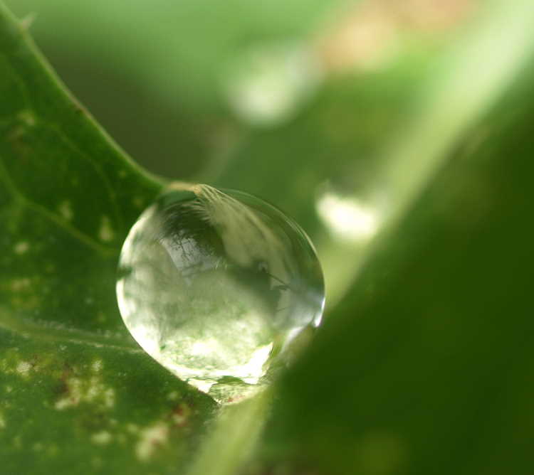 Nach dem Regen