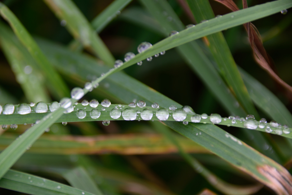 Nach dem Regen