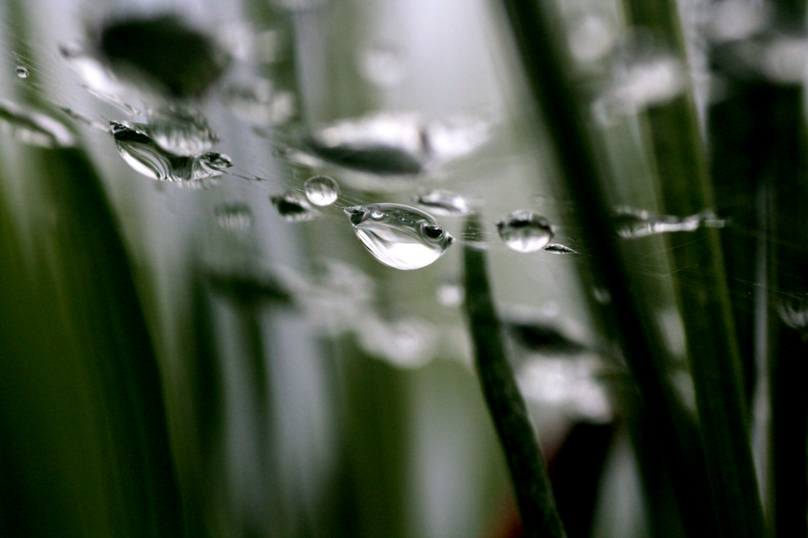 Nach dem Regen