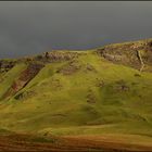 Nach dem Regen