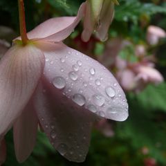 Nach dem Regen