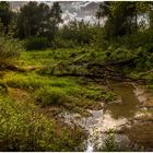 Nach dem Regen