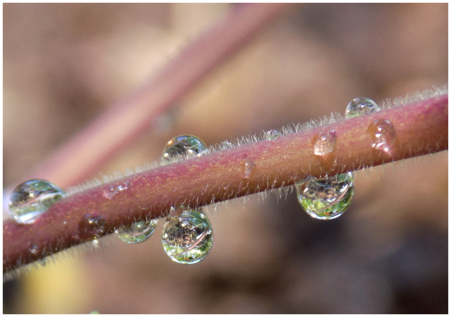 nach dem Regen