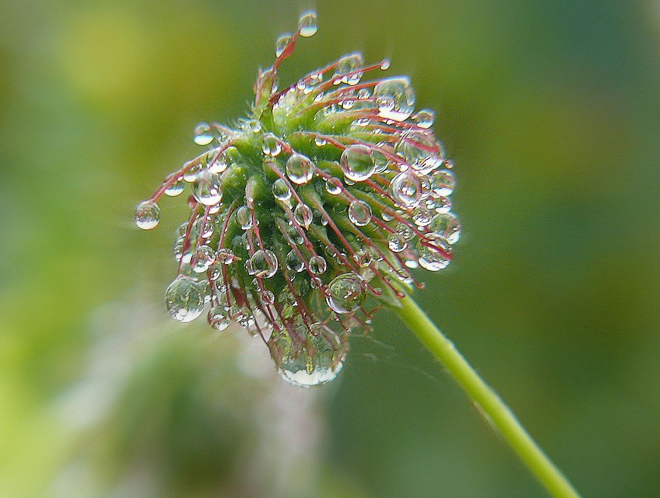 Nach dem Regen