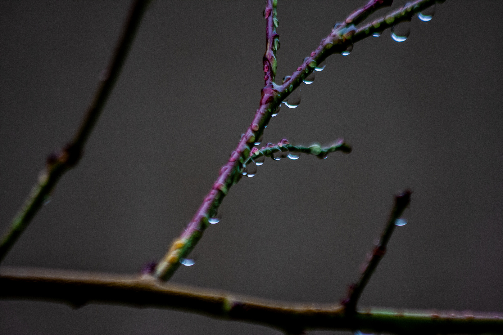 Nach dem Regen