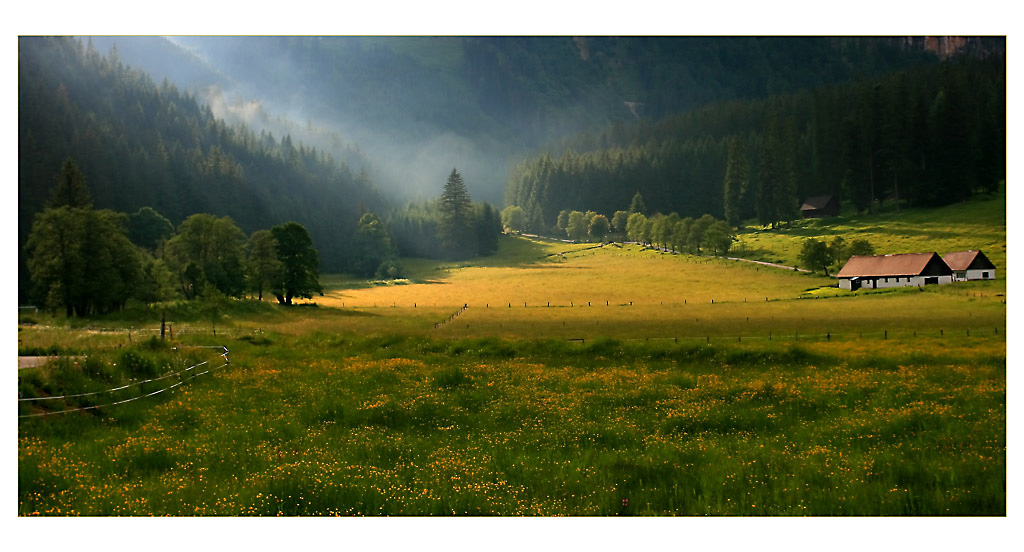 Nach dem Regen