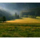 Nach dem Regen