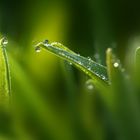 nach dem Regen