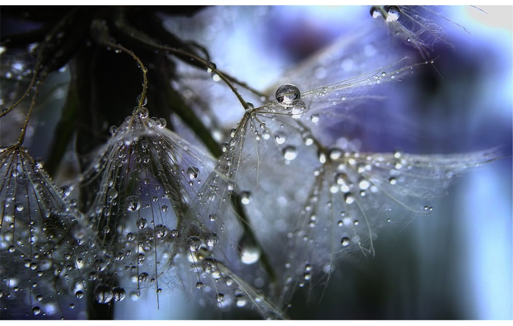 nach dem Regen