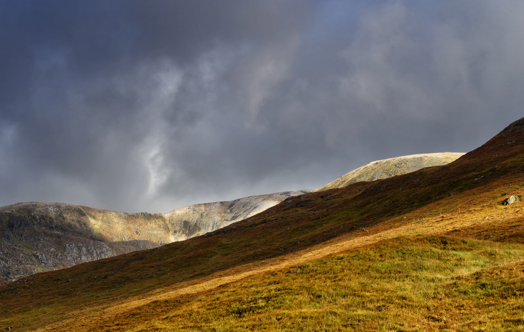 Nach dem Regen