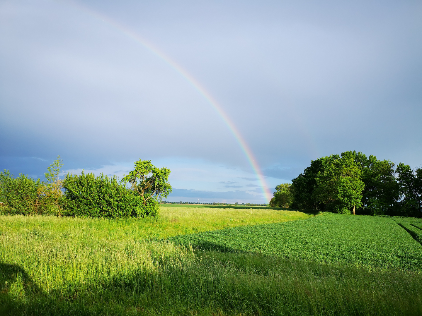 Nach dem Regen...