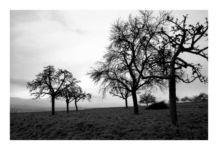 Nach dem Regen