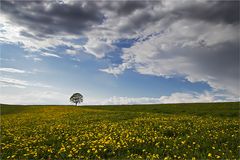 Nach dem Regen