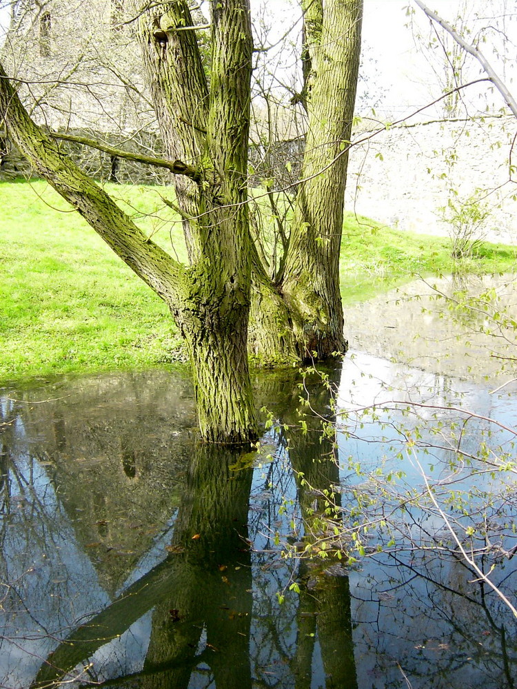 nach dem Regen