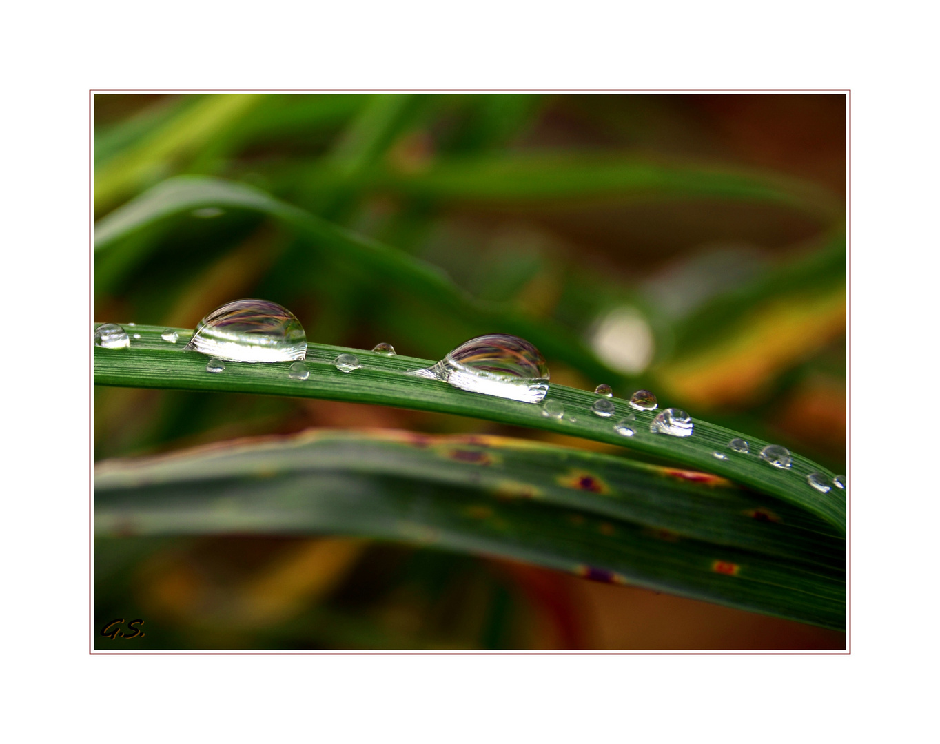 nach dem Regen