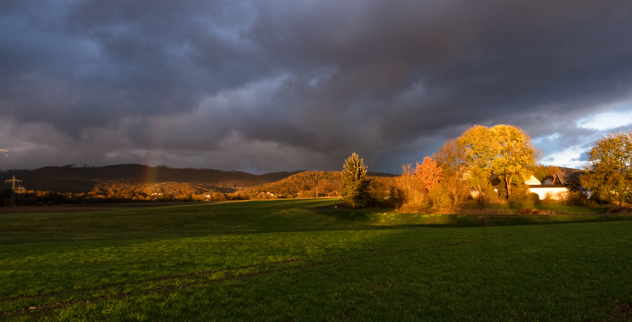 nach dem Regen