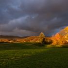 nach dem Regen