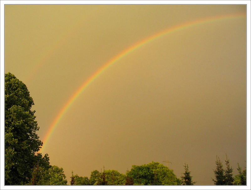 nach dem Regen ...