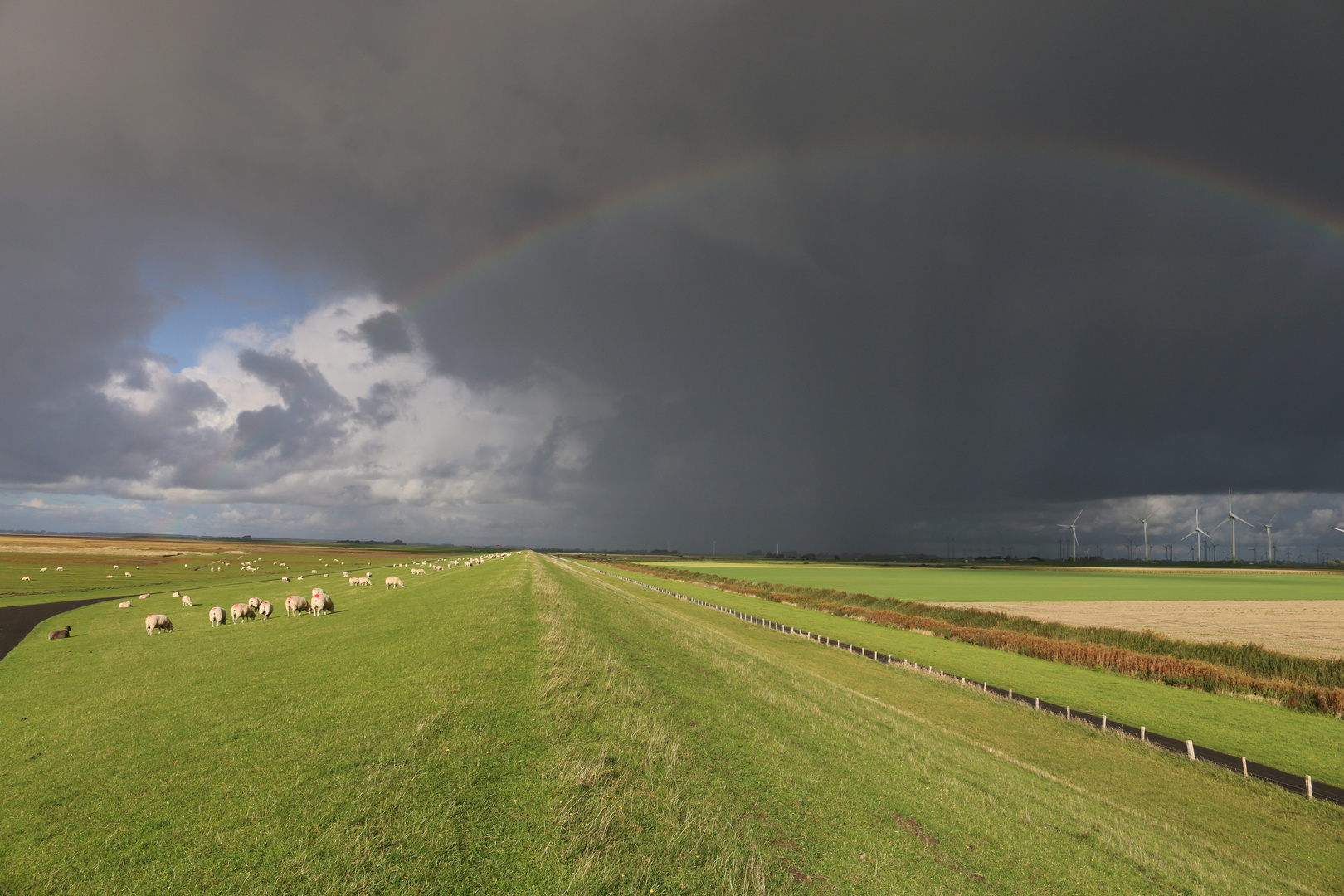 Nach dem Regen