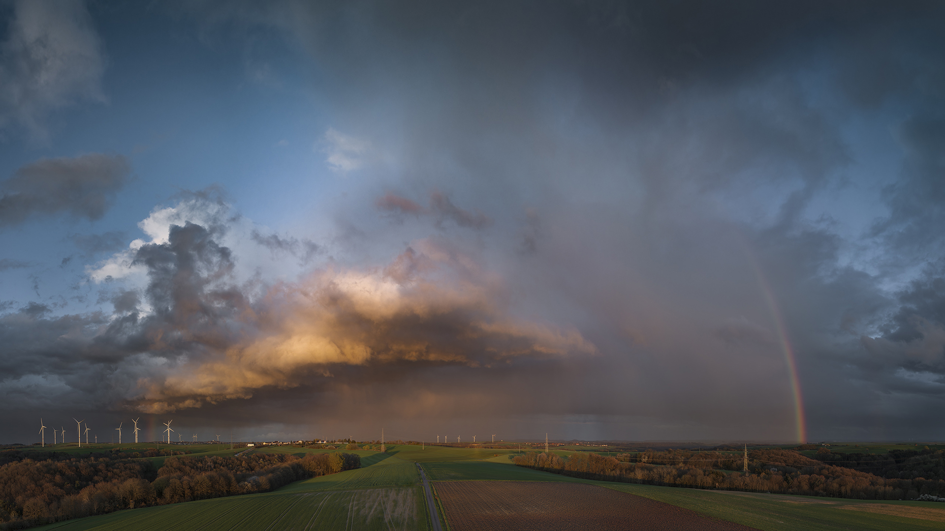 nach dem Regen