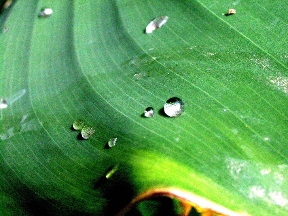 Nach dem Regen