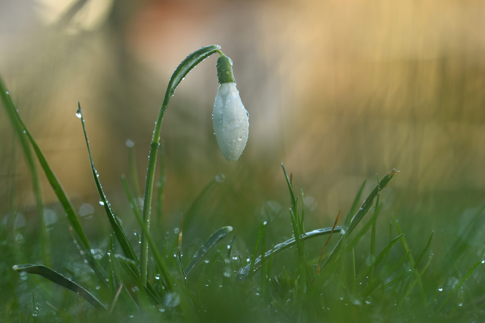 Nach dem Regen