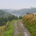 Nach dem Regen