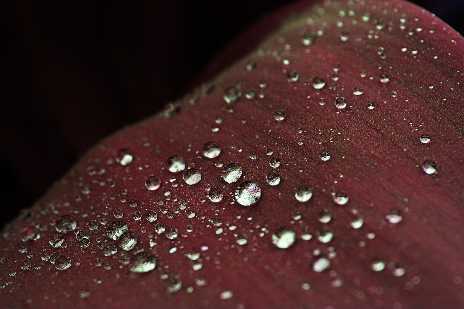 Nach dem Regen