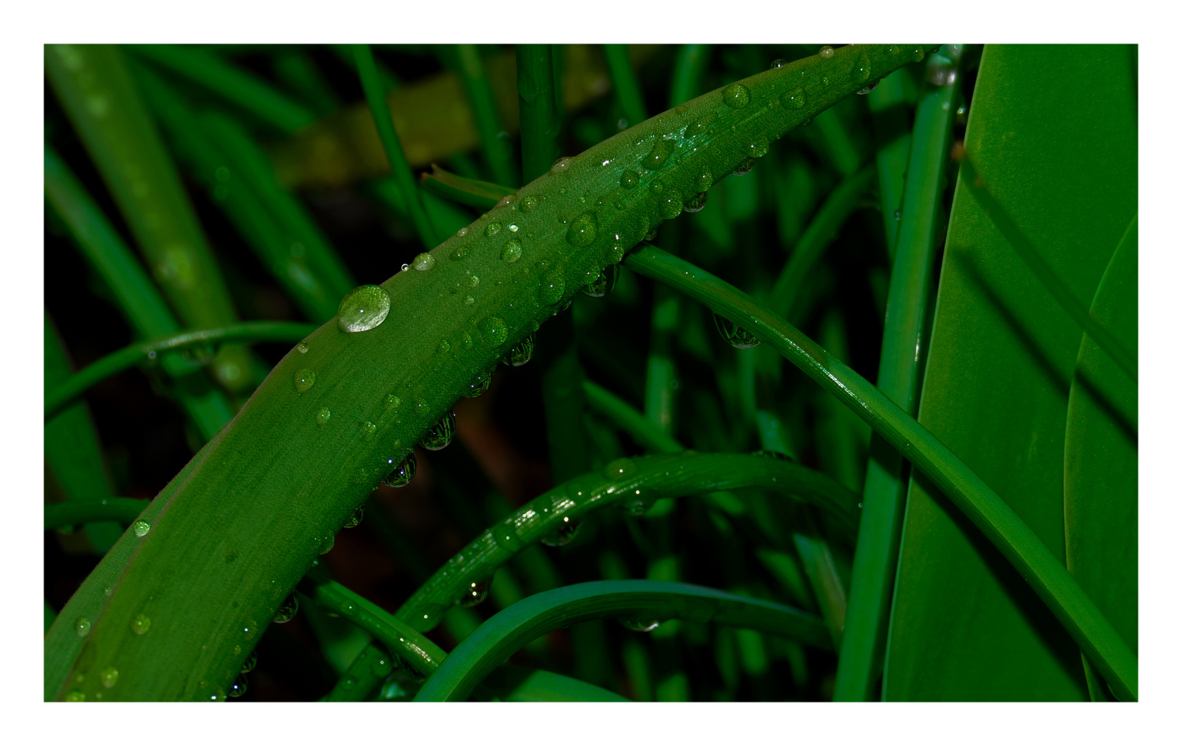 Nach dem Regen