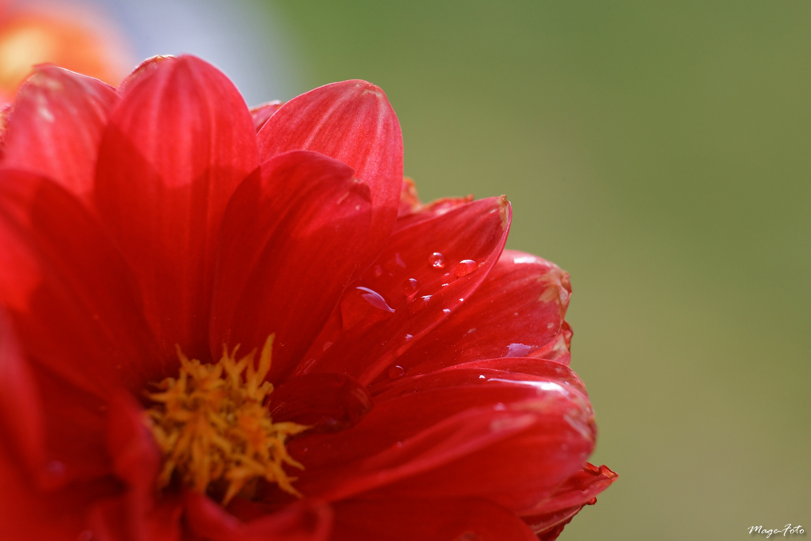 Nach dem Regen