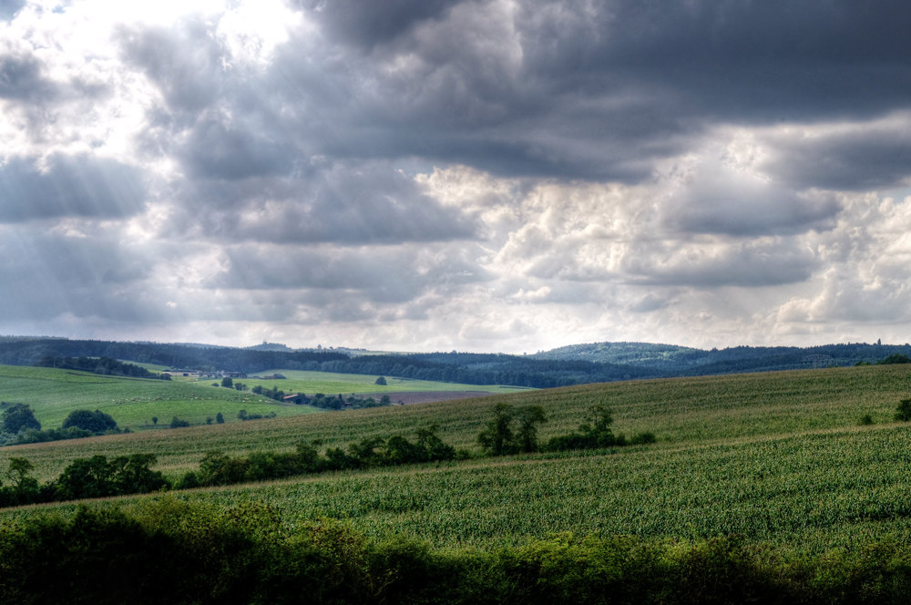 nach dem Regen