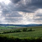 nach dem Regen