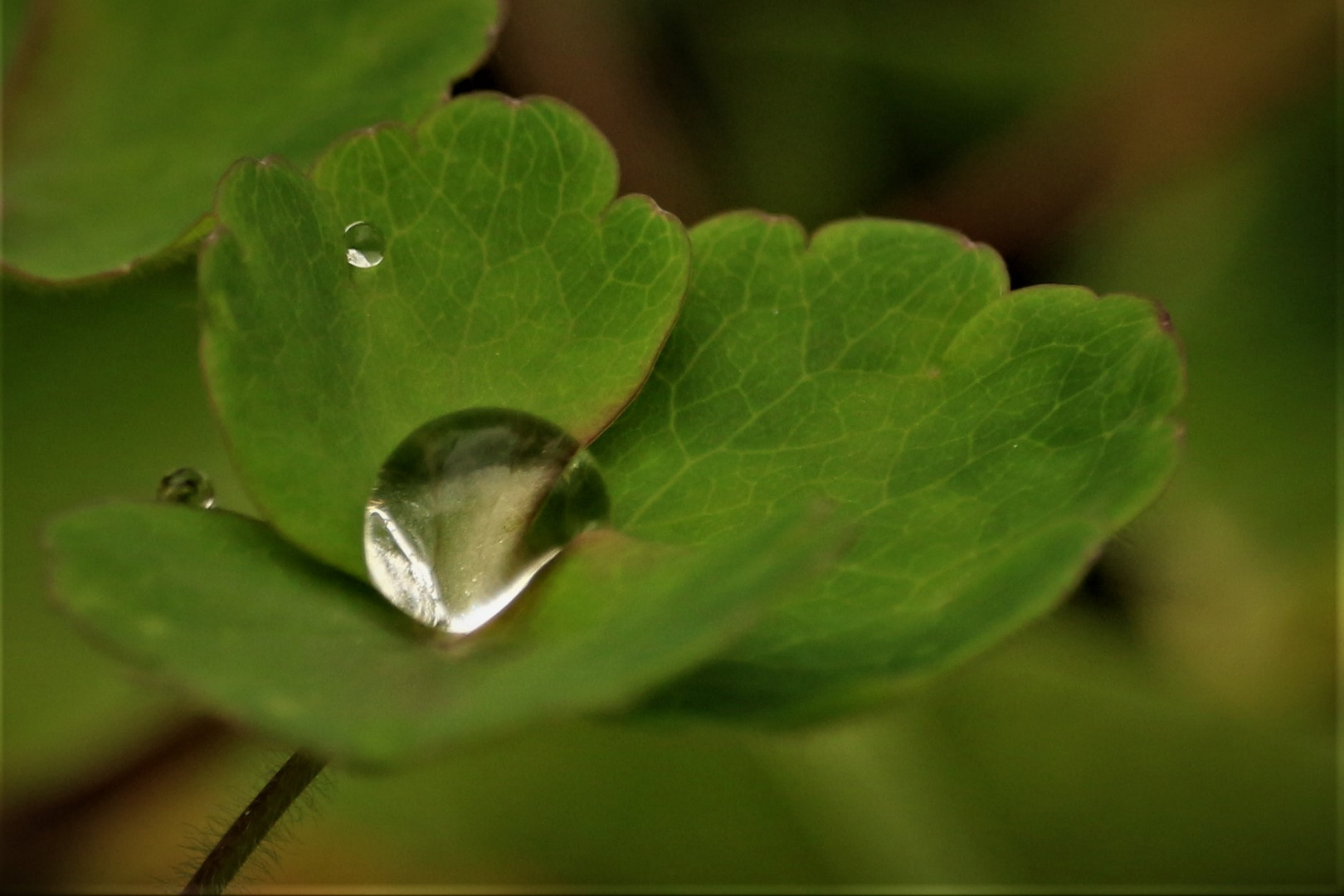 Nach dem Regen