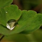 Nach dem Regen